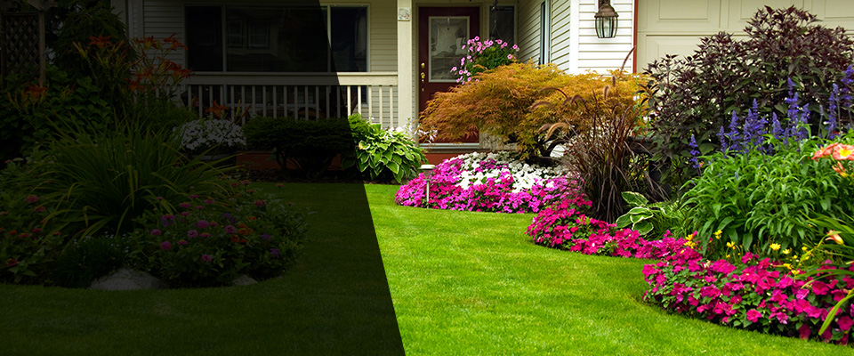 Cranberry Twp Landscapers