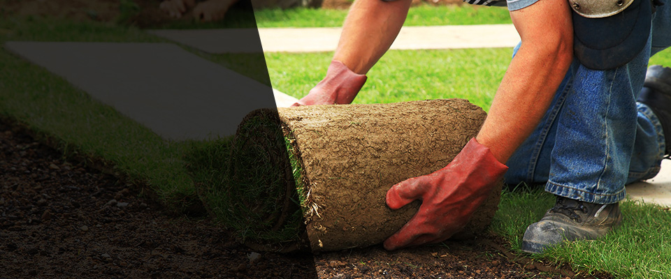 Cranberry Twp Landscapers